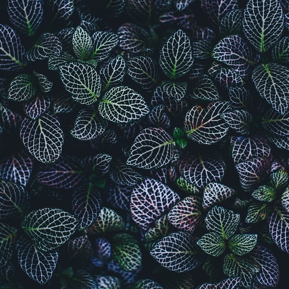 ❤️ Meet your Posher! ❤️